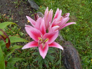 DSCN9965.JPG