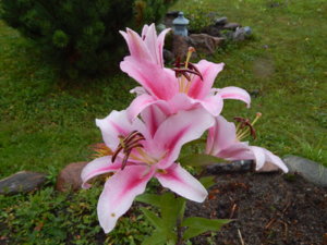 DSCN9967.JPG