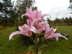 DSCN9968.JPG