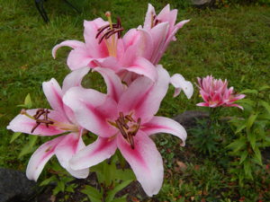 DSCN9991.JPG