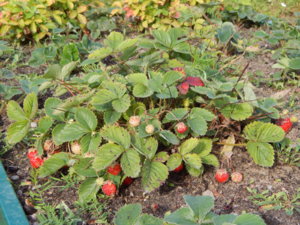 DSCN9934.JPG