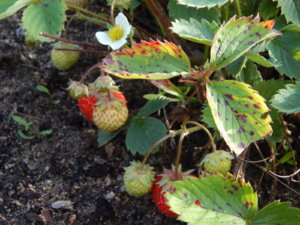 DSCN9936.JPG