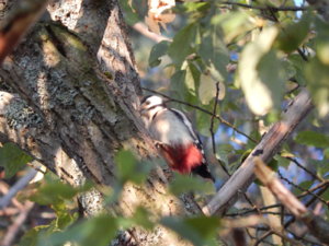 DSCN0224.JPG