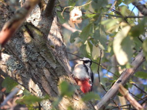 DSCN0230.JPG