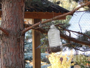 DSCN0231.JPG