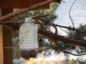 DSCN0235.JPG