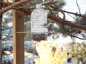 DSCN0238.JPG