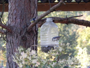DSCN0251.JPG