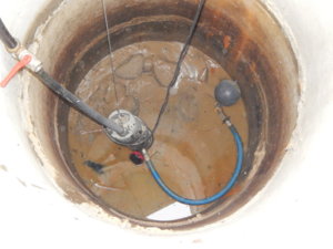DSCN9997.JPG