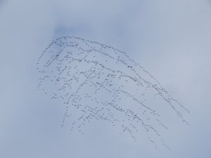 DSCN0015.JPG