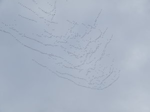 DSCN0016.JPG