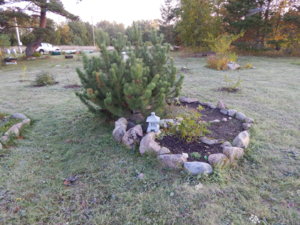 DSCN0203.JPG