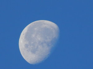 DSCN0195.JPG