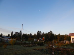 DSCN0204.JPG