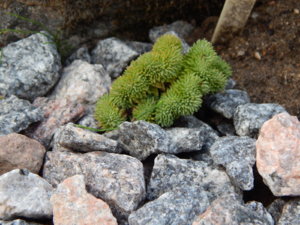 DSCN0113.JPG