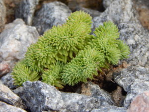 DSCN3869.JPG
