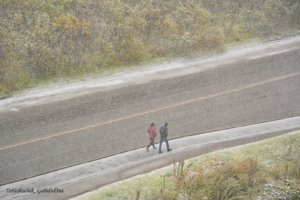 Осень встретиласт с зимой. Источник Танюшочек Габидуллина_ iCvByNsyBPg.jpg