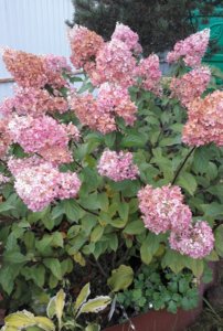 20190930_195119.jpg