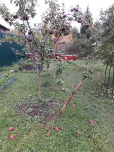 20190930_101353.jpg