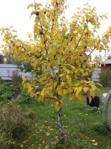 20190930_101507.jpg