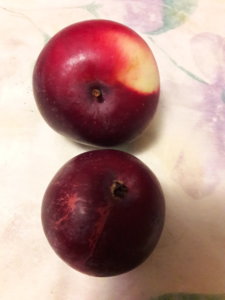 20191002_224321.jpg