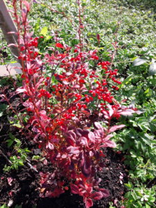 20191001_135520.jpg