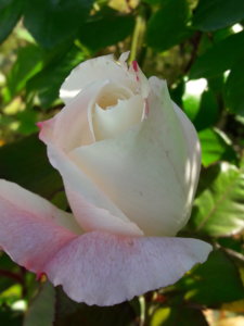 20191001_140007.jpg