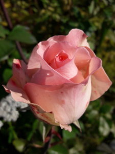 20191001_135727.jpg