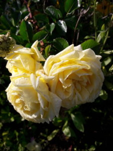 20191001_135258.jpg
