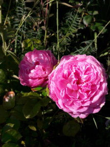 20191001_135229.jpg