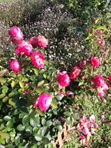 20191001_135047.jpg