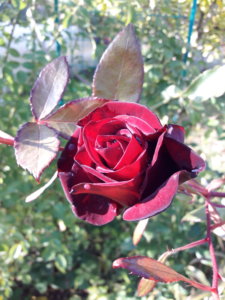 20191001_135141.jpg