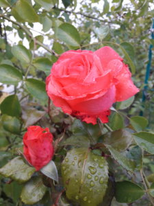 20190930_101307.jpg