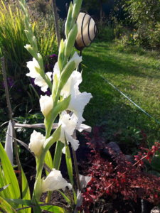 20191001_135015.jpg