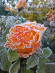 20191006_091734.jpg