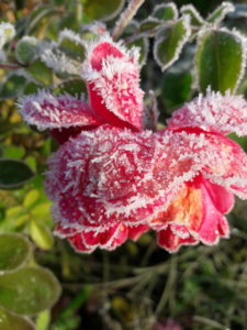 20191006_091443.jpg