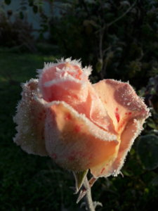20191006_091317.jpg