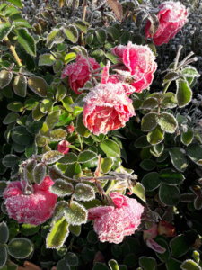 20191006_091245.jpg