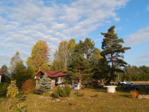 DSCN0308.JPG