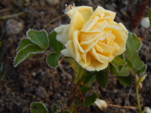DSCN0274.JPG