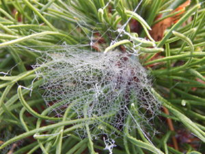 DSCN0281.JPG