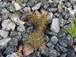 DSCN0285.JPG