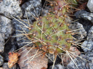 DSCN0286.JPG