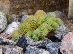 DSCN0288.JPG