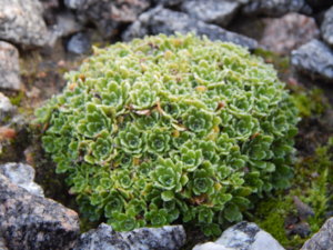 DSCN0289.JPG