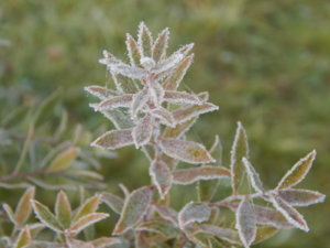 DSCN0291.JPG