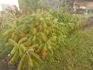 DSCN0292.JPG