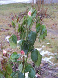 DSCN0321.JPG