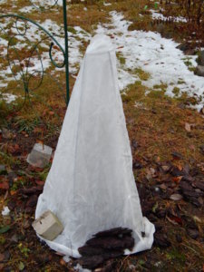 DSCN0327.JPG