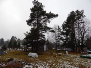 DSCN0328.JPG